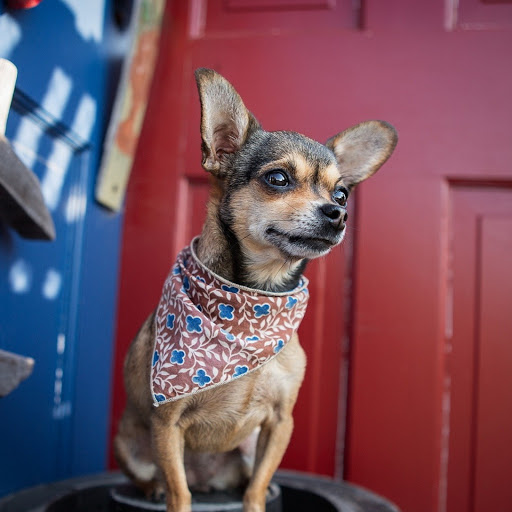 Hd-179955-ascw179955