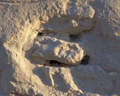 STONE 01 STONE 01