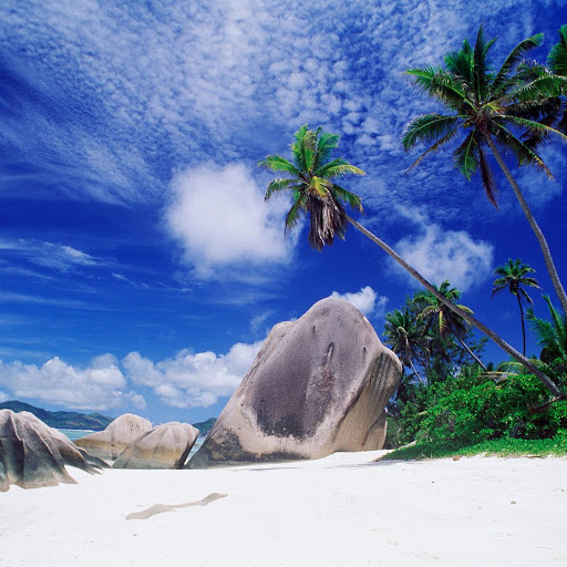 Hd-132305-ascw132305