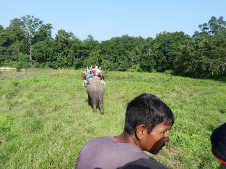 Safari elefanti Chitwan