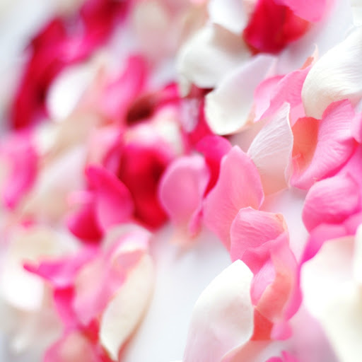 Hd-142200-ascw142200