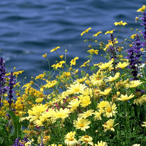 Hd-151778-ascw151778