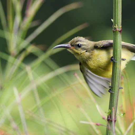 Hd-150020-ascw150020