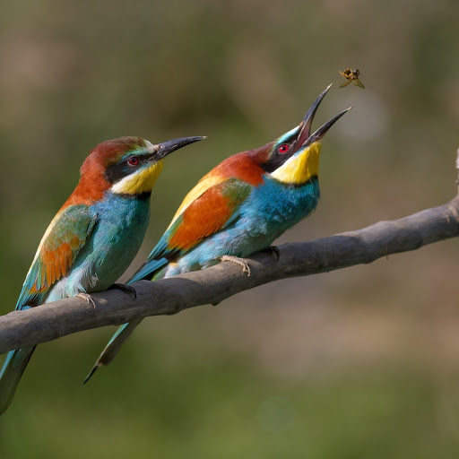 Hd-140322-ascw140322