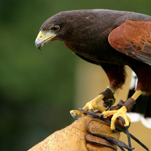 Hd-139407-ascw139407