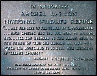 02e3b - Rachel Carson Nature Trail Memorial
