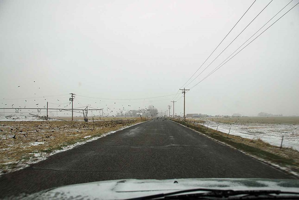 [Snow-Road4.jpg]