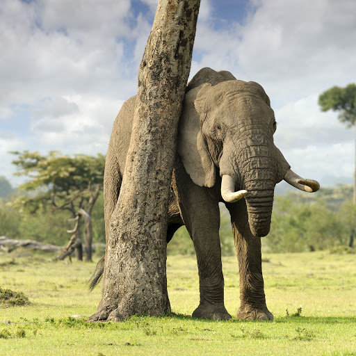 Hd-134620-ascw134620