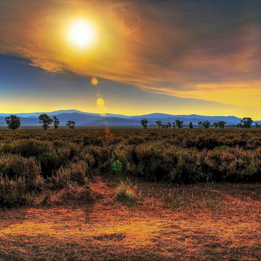 Hd-141184-ascw141184