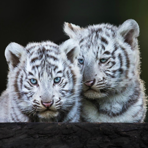 Hd-180364-ascw180364