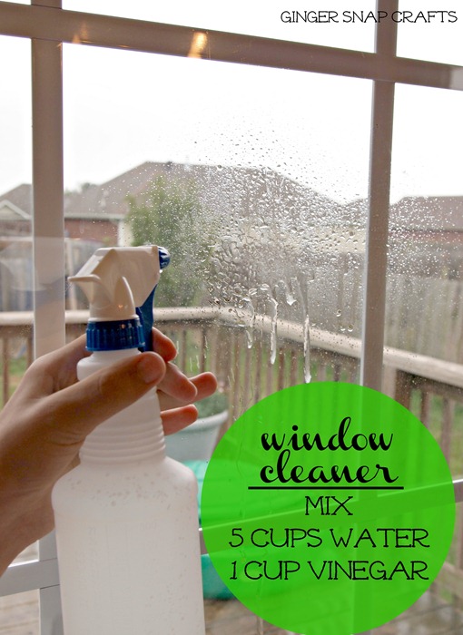 cleaning windows with vinegar and water