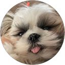Linda Buquet profile picture