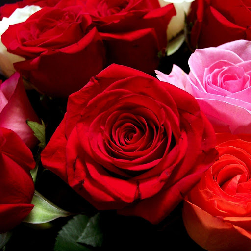 Hd-143603-ascw143603