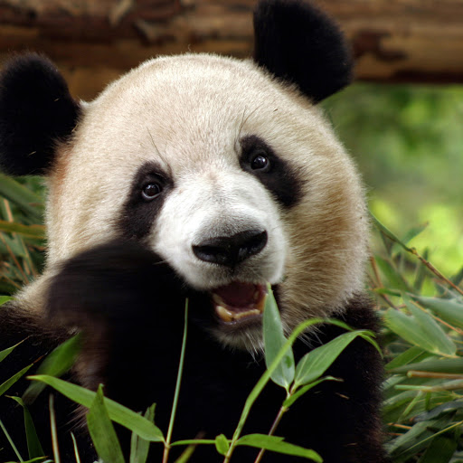 Hd-166342-ascw166342