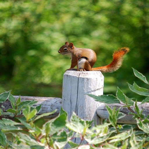 Hd-142884-ascw142884