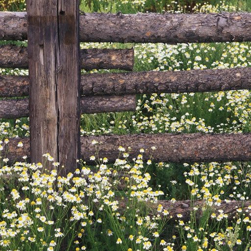 Hd-143681-ascw143681