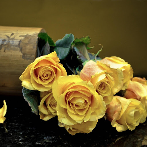 Hd-170290-ascw170290