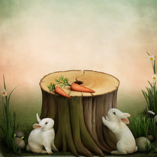 Hd-185594-ascw185594