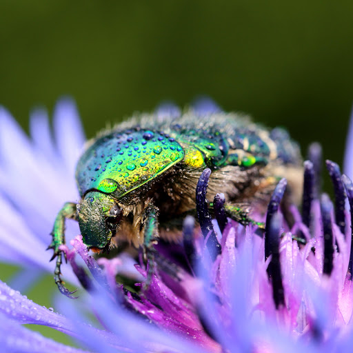 Hd-165498-ascw165498