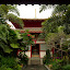 Singapur - Świątynia Zęba Buddy - a na dachu ogród ze storczykami...