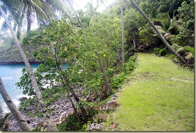taehatuIMG_0238 taehatuIMG_0238