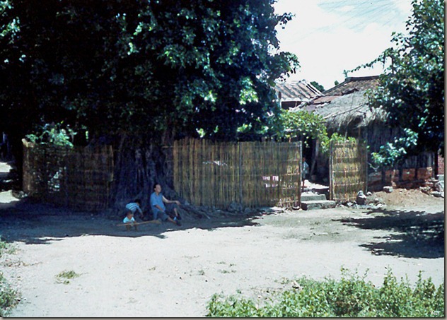 Catching Shade