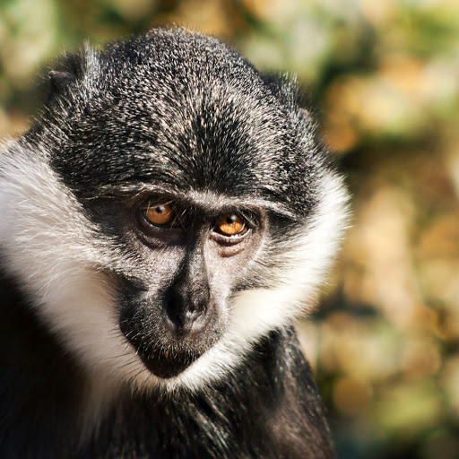 Hd-152609-ascw152609