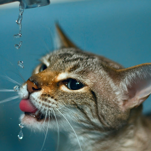 Hd-158559-ascw158559