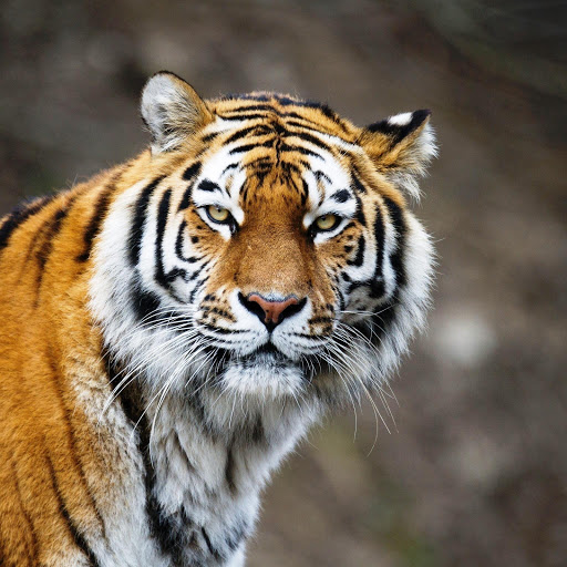 Hd-147449-ascw147449