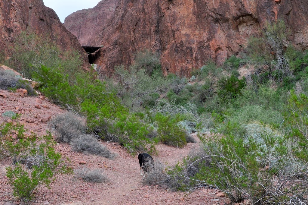 [DSC_0013%255B8%255D.jpg]