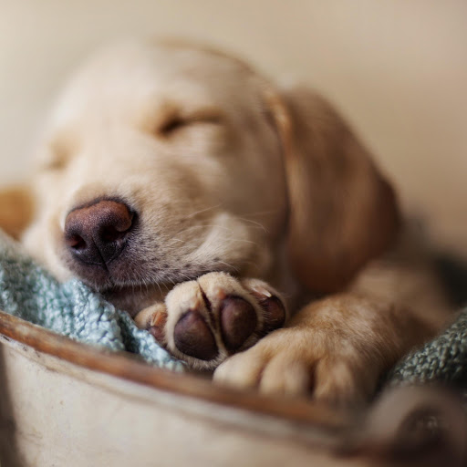 Hd-138129-ascw138129