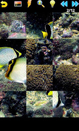 Ocean Puzzle poster 2