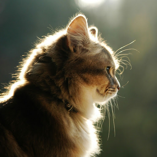 Hd-160424-ascw160424