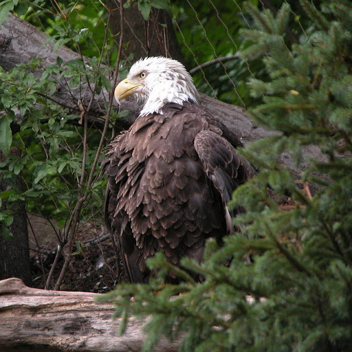 Hd-163984-ascw163984