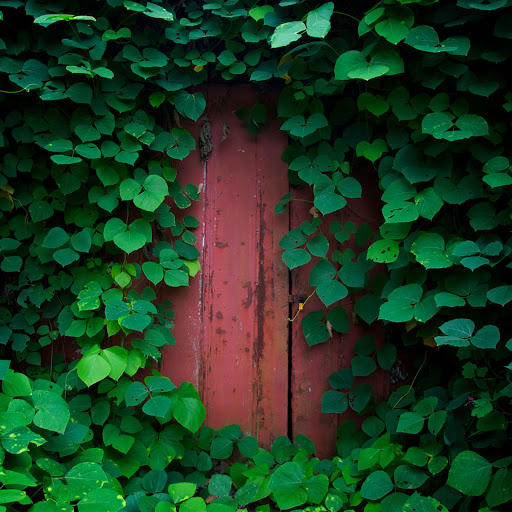 Hd-164863-ascw164863