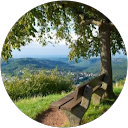 Image Google de M LS
