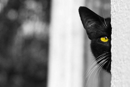 [clip_image036%255B4%255D.jpg]