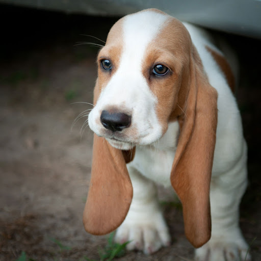 Hd-172482-ascw172482