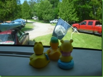 Duckie View