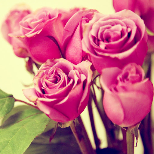 Hd-171366-ascw171366