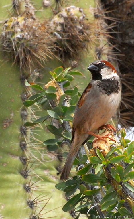 [DSC_8991%255B4%255D.jpg]