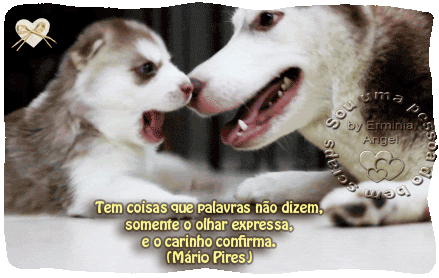 tumblr_.gif
