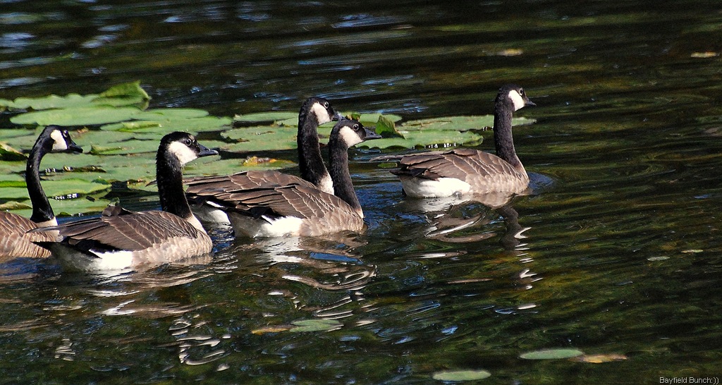 [DSC_4096%255B3%255D.jpg]