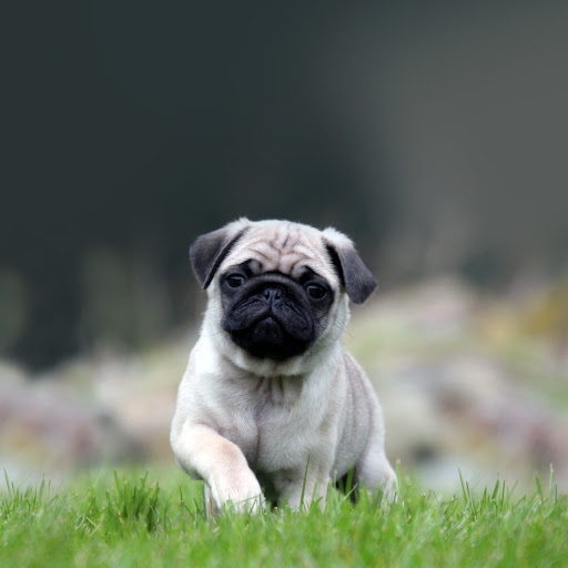 Hd-138328-ascw138328