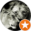 Loving_Lioness