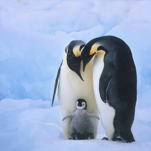 Hd-149816-ascw149816