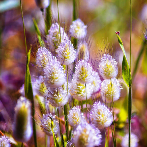 Hd-147459-ascw147459