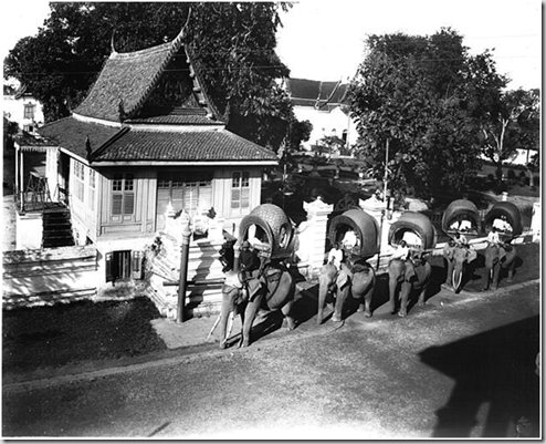 Decoration Murale Foret Thailandaise Decoration Murale Foret Thailandaise