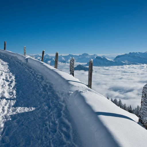 Hd-131954-ascw131954