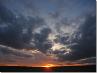 IMG_5663 IMG_5663